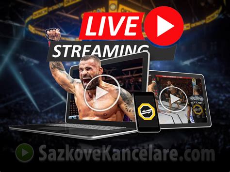 oktagon live stream zdarma